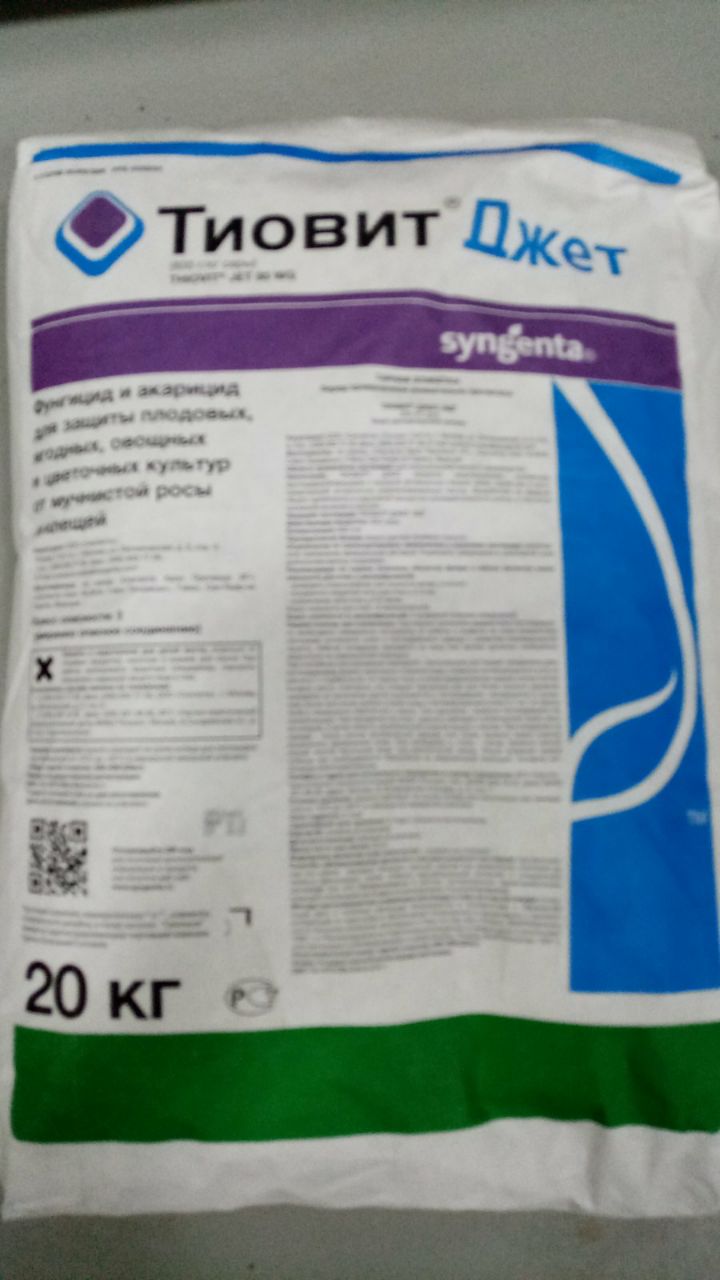 Фунгицид тиовит джет от болезней и клещей 30 г. Тиовит джет фунгицид сроки ожидания. Средство от паутинного клеща для садовых растений. Тиовит джет фунгицид инструкция по применению. Срок ожидания после обработки тиовит джетом.
