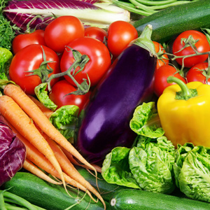 Удобрения купить в компании 【 БиоЗащита】