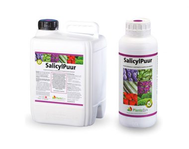 SalicylPure