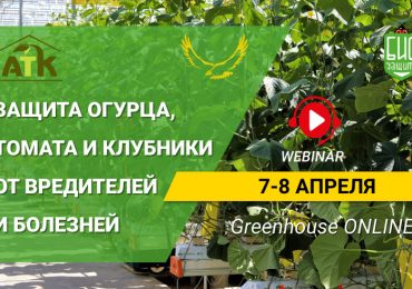 Вебинар Greenhouse ONLINE — 7-8 апреля!