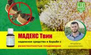 Мадекс Твин Дорошенко