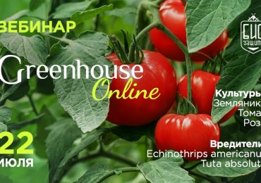 Вебинар Greenhouse Online 22 июля 2021 года