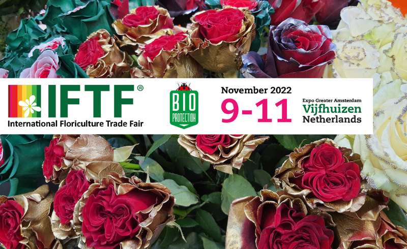 IFTF та Alsmeer — наймасштабніші європейські квіткові виставки